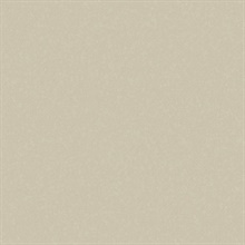 Sandstone Limestone Type II 20oz Wallpaper