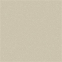 Sandstone Limestone Type II 20oz Wallpaper