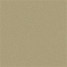 Sandstone San Dunes Type II 20oz Wallpaper