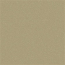 Sandstone San Dunes Type II 20oz Wallpaper