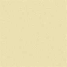 Sandstone Sand Grain Type II 20oz Wallpaper