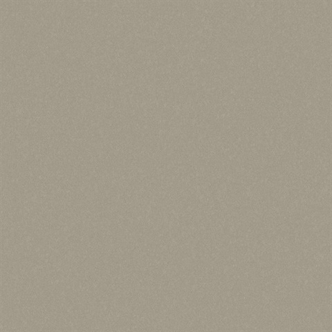 Sandstone Sandstorm Type II 20oz Wallpaper