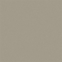 Sandstone Sandstorm Type II 20oz Wallpaper