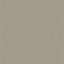 Sandstone Sandstorm Type II 20oz Wallpaper