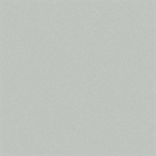 Sandstone Silver Quartz Type II 20oz Wallpaper
