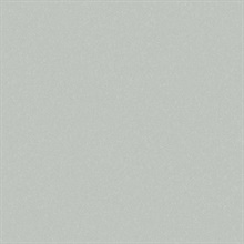 Sandstone Silver Quartz Type II 20oz Wallpaper