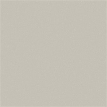 Sandstone Tidal Flats Type II 20oz Wallpaper