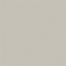 Sandstone Tidal Flats Type II 20oz Wallpaper