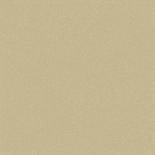 Sandstone Washed Sand Type II 20oz Wallpaper