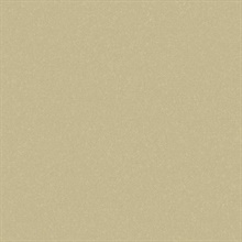 Sandstone Washed Sand Type II 20oz Wallpaper