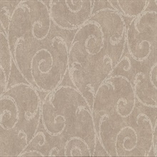 Sansa Light Brown Plaster Scroll