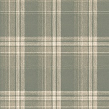 Saranac Sage Flannel
