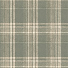 Saranac Sage Flannel