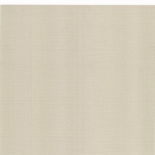 Sarge Beige Texture