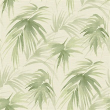 Scott Living Darlana Green Grasscloth Non Woven Unpasted Wallpaper