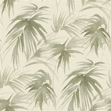 Scott Living Darlana Sage Grasscloth Non Woven Unpasted Wallpaper