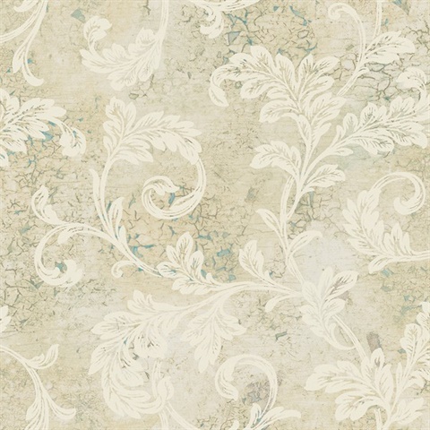 Scroll Traditional