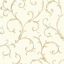 Scroll Traditional