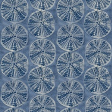 Sea Biscuit Blue Sand Dollar Trellis Wallpaper