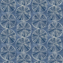 Sea Biscuit Blue Sand Dollar Trellis Wallpaper