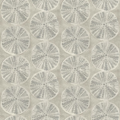 Sea Biscuit Grey Sand Dollar Trellis Wallpaper