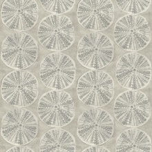 Sea Biscuit Grey Sand Dollar Trellis Wallpaper