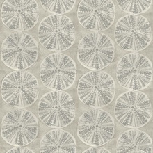 Sea Biscuit Grey Sand Dollar Trellis Wallpaper