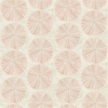 Sea Biscuit Peach Sand Dollar Trellis Wallpaper