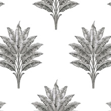 Sea Breeze Palm Botanical Charcoal Peel and Stick Wallpaper