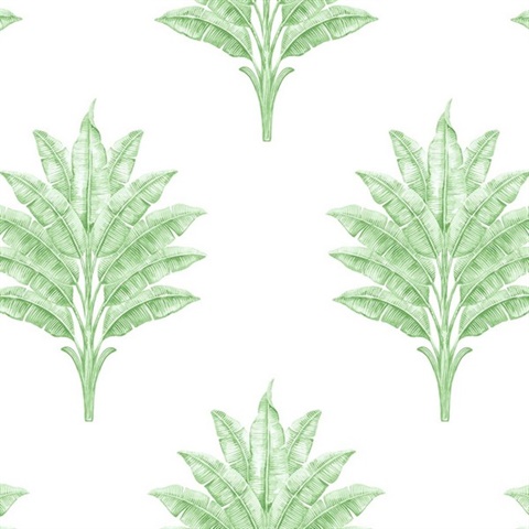 Sea Breeze Palm Botanical Greenery Peel and Stick Wallpaper