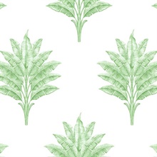 Sea Breeze Palm Botanical Greenery Peel and Stick Wallpaper