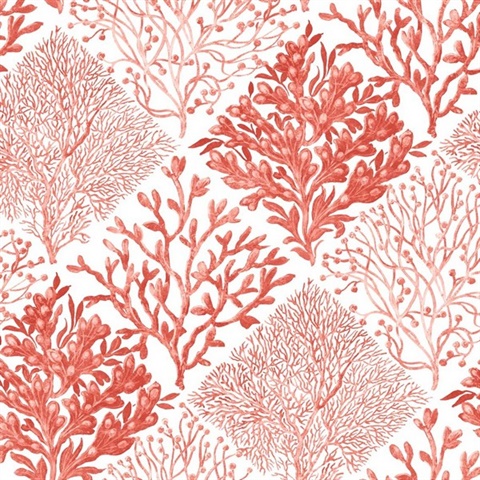Seaweed Botanical Vermillion Peel and Stick Wallpaper