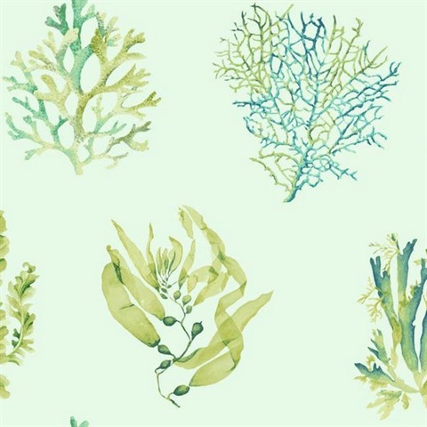 CM3358 | Seaweed | Wallpaper Boulevard