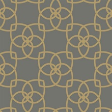 Pewter &amp; Gold Serendipity Geometric Intersecting Links