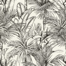 Serra White Palm Tree &amp; Palm Frond  Wallpaper