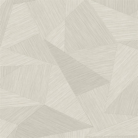 Sharkey Anew Gray Textured Geometric  Wallpaper