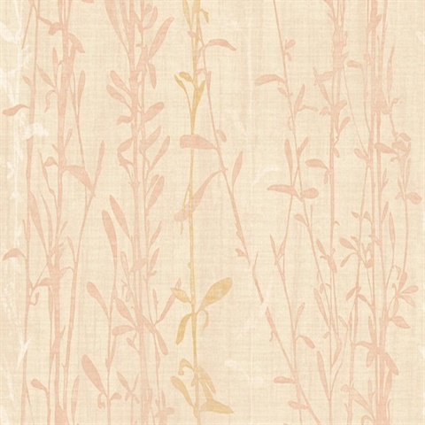Shearwater Branches