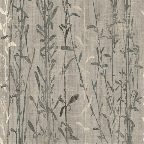 Shearwater Branches