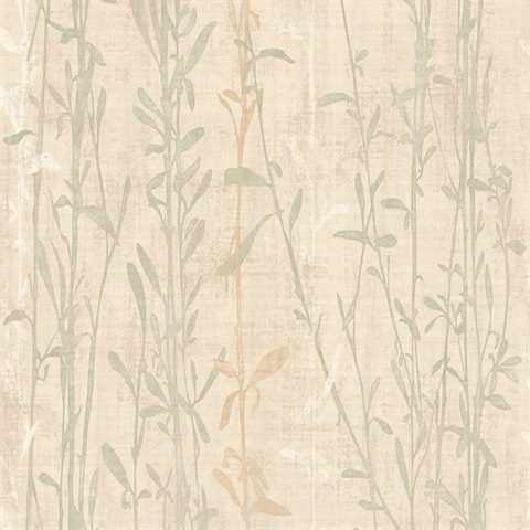 Shearwater Branches