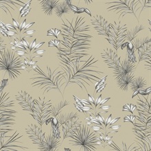 Shelly&#160; Grey Small Toucan Bird Toile Wallpaper