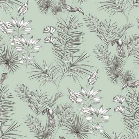 Shelly  Mint Small Toucan Bird Toile Wallpaper