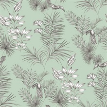 Shelly&#160; Mint Small Toucan Bird Toile Wallpaper