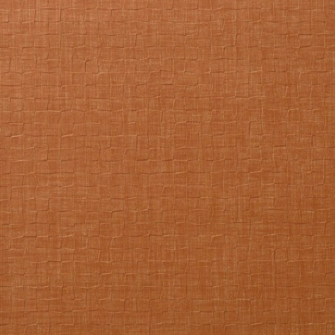 Shift Coral