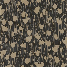Shimmering Poppies Black & Gold Floral Wallpaper