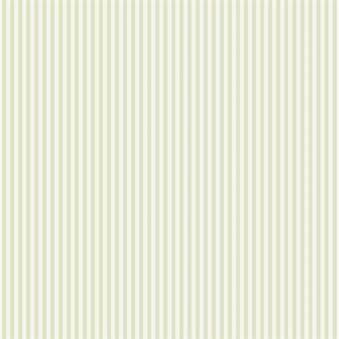 Shirt Stripe Green Wallpaper