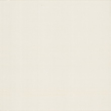 Silk Road Magnolia Wallpaper