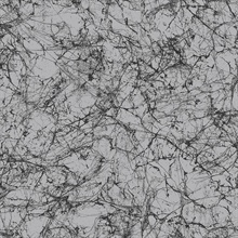 Silver & Black Spider Paint Crackle Wallpaper