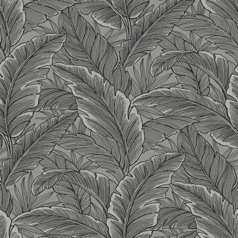 Silver & Black Tropical Banana Leaves Wallpaper