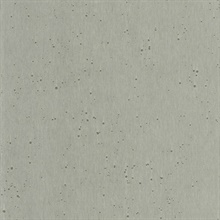 Silver Burnished Patina Metallic Wallpaper