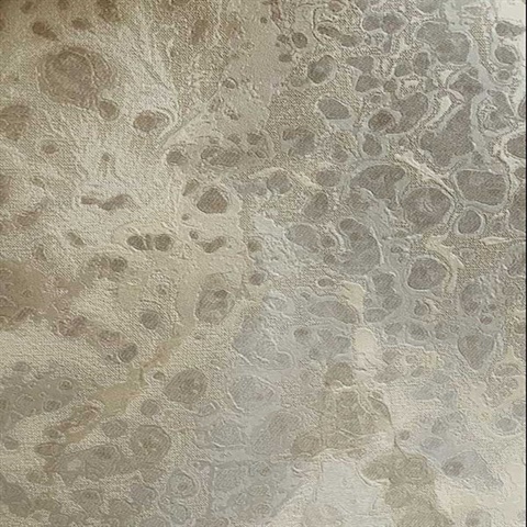 Silver Celestial Metallic Textured Wallpaper